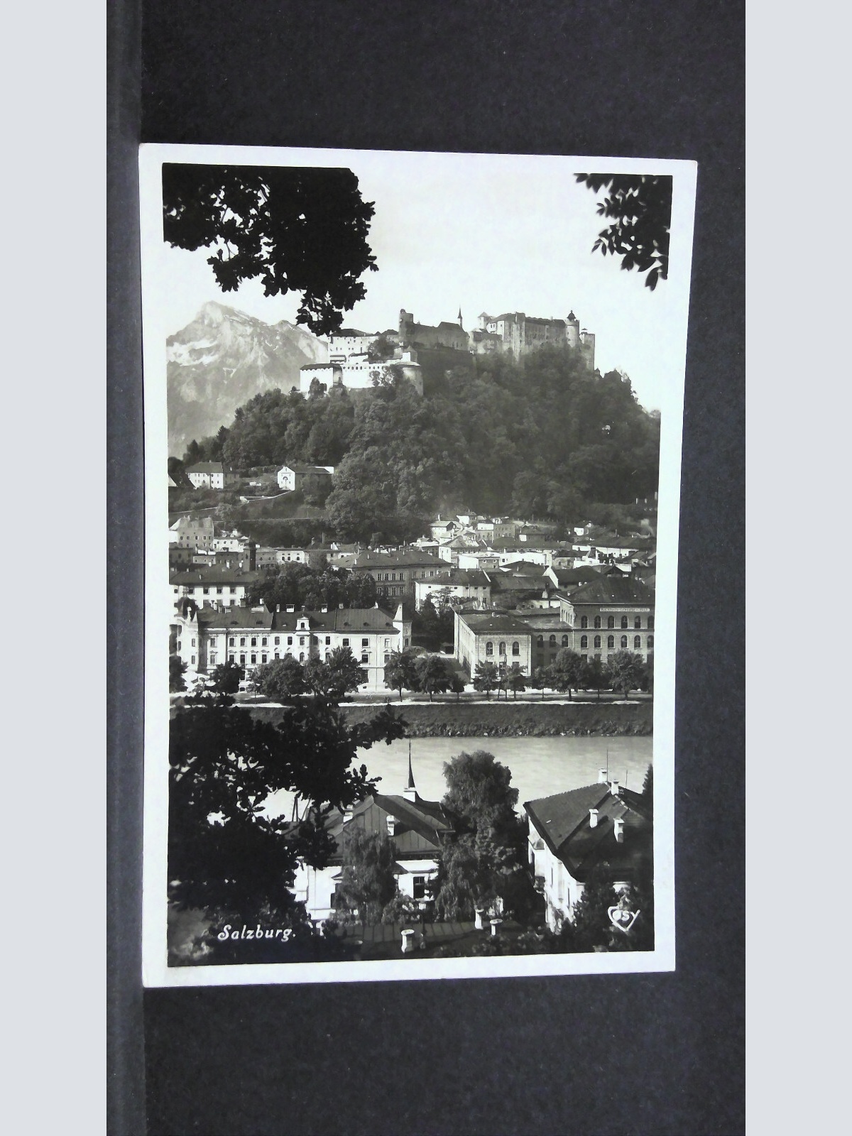 Salzburg Stadtansicht Hohensalzburg Berge Salzach Zweige JW 753214