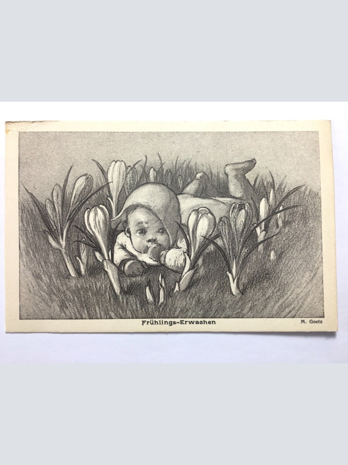 Frühlings-Erwachen (M. Goetz) - Baby in Blumenwiese - Künstlerkarte 40199 TH