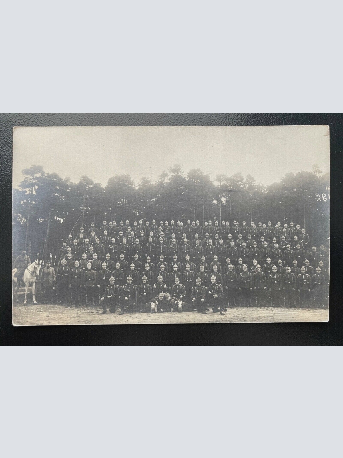 Gruppenaufnahme Soldaten Uniform Pickelhaube Pferd Wald Militär Krieg 402498 TH