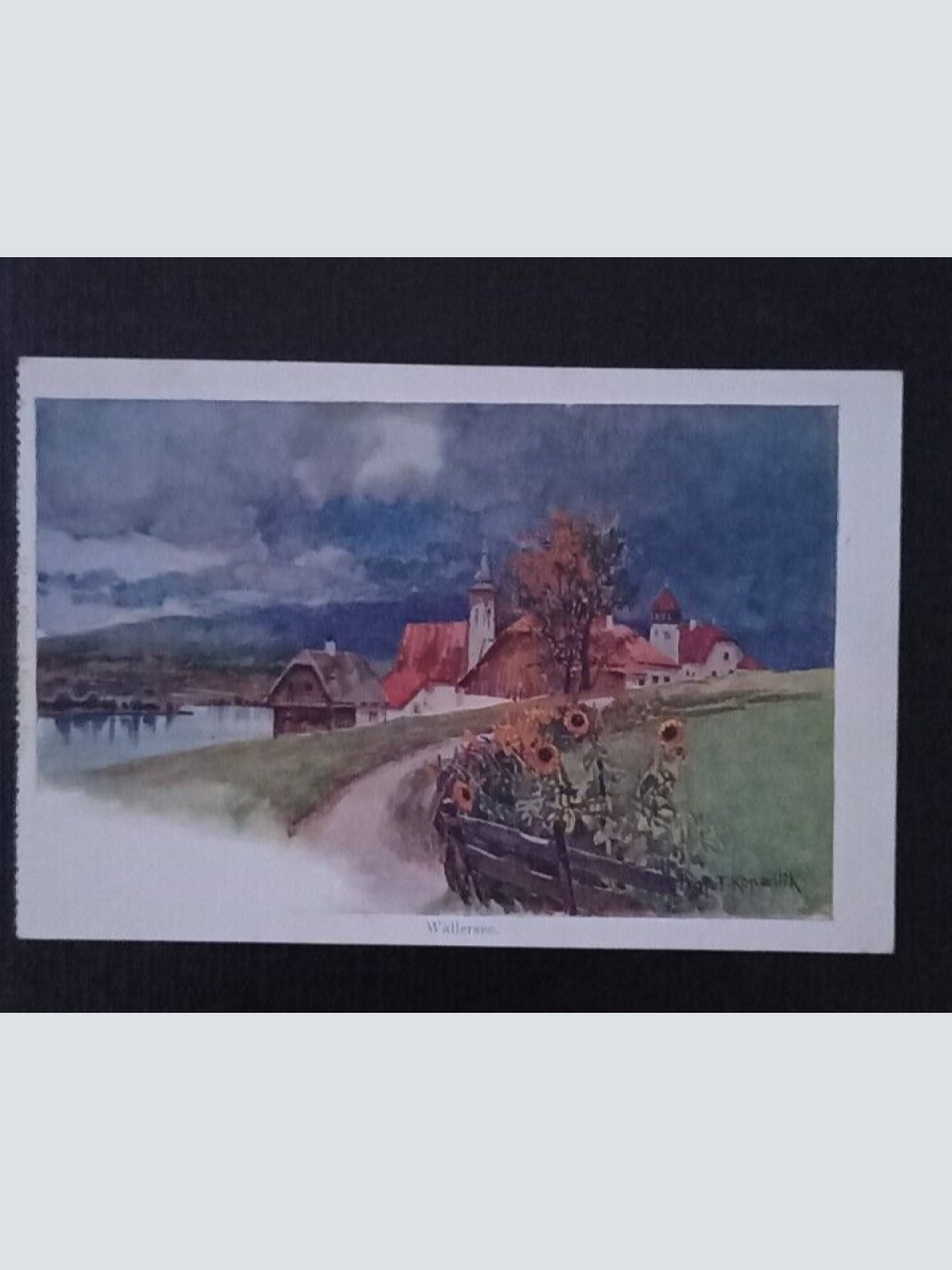 Salzburg Wallersee 600786A gr