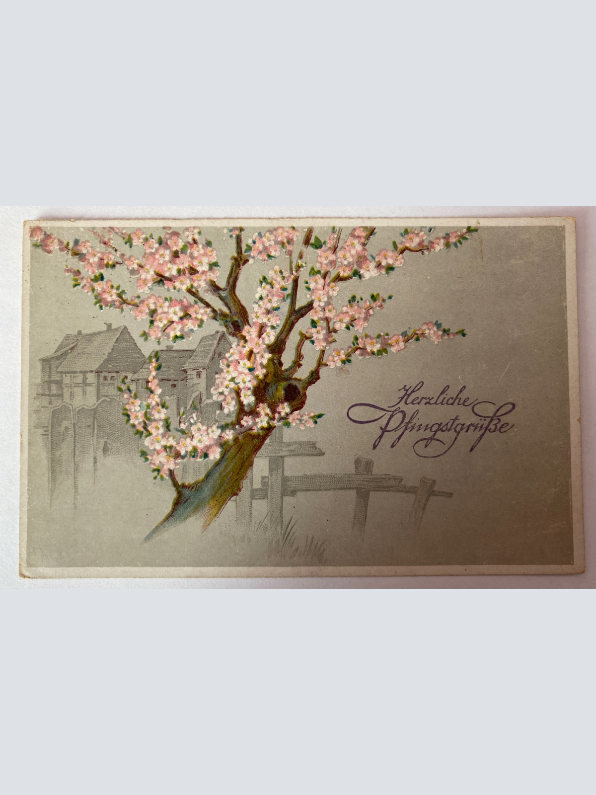 Grußkarte, "Herzliche Pfingstgrüße", Baum, Zaun 410023 AH