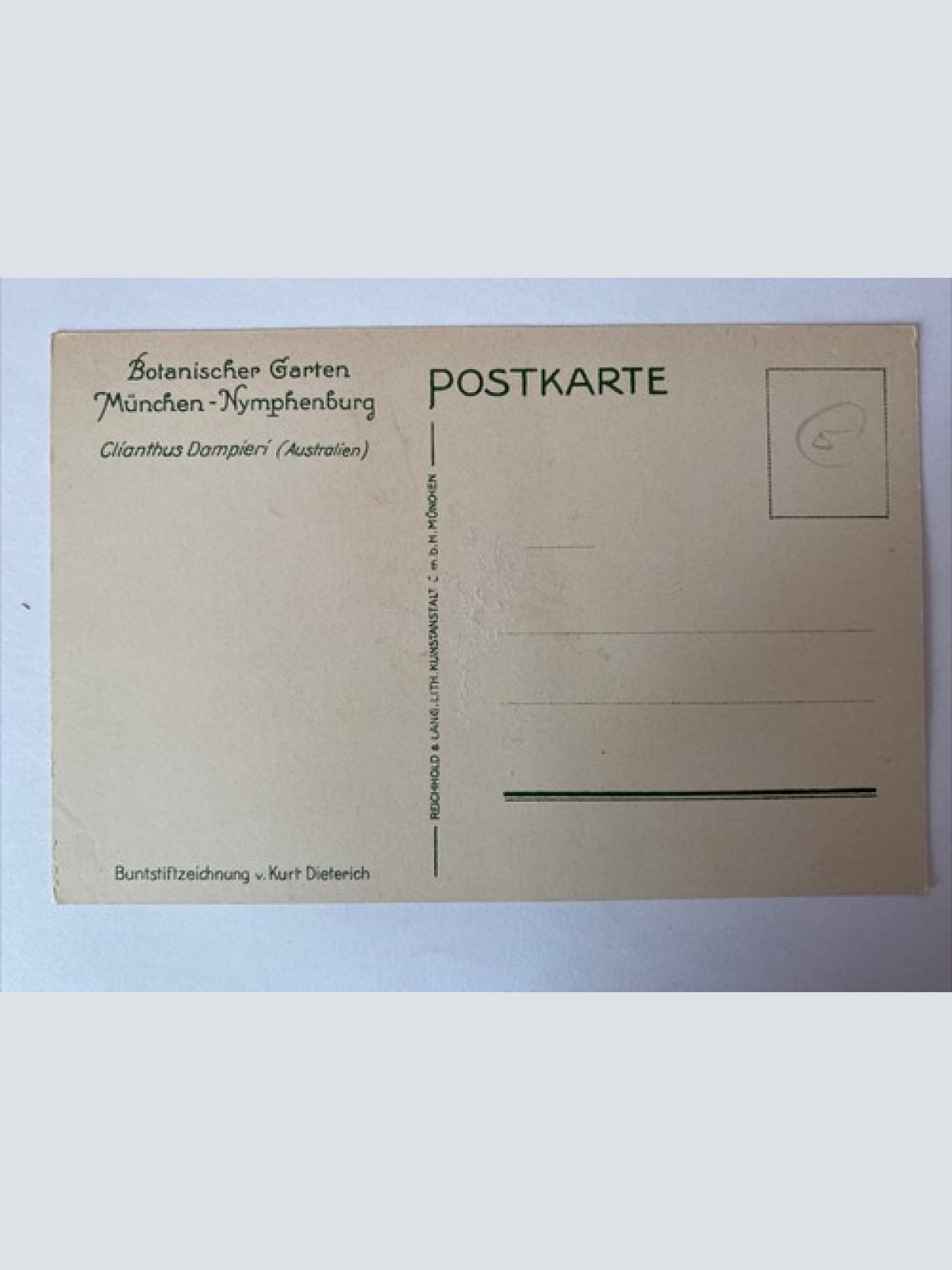 Clíanthus Dampíerí, Botanischer Garten München-Nymphenburg, Blume, 400558 AH