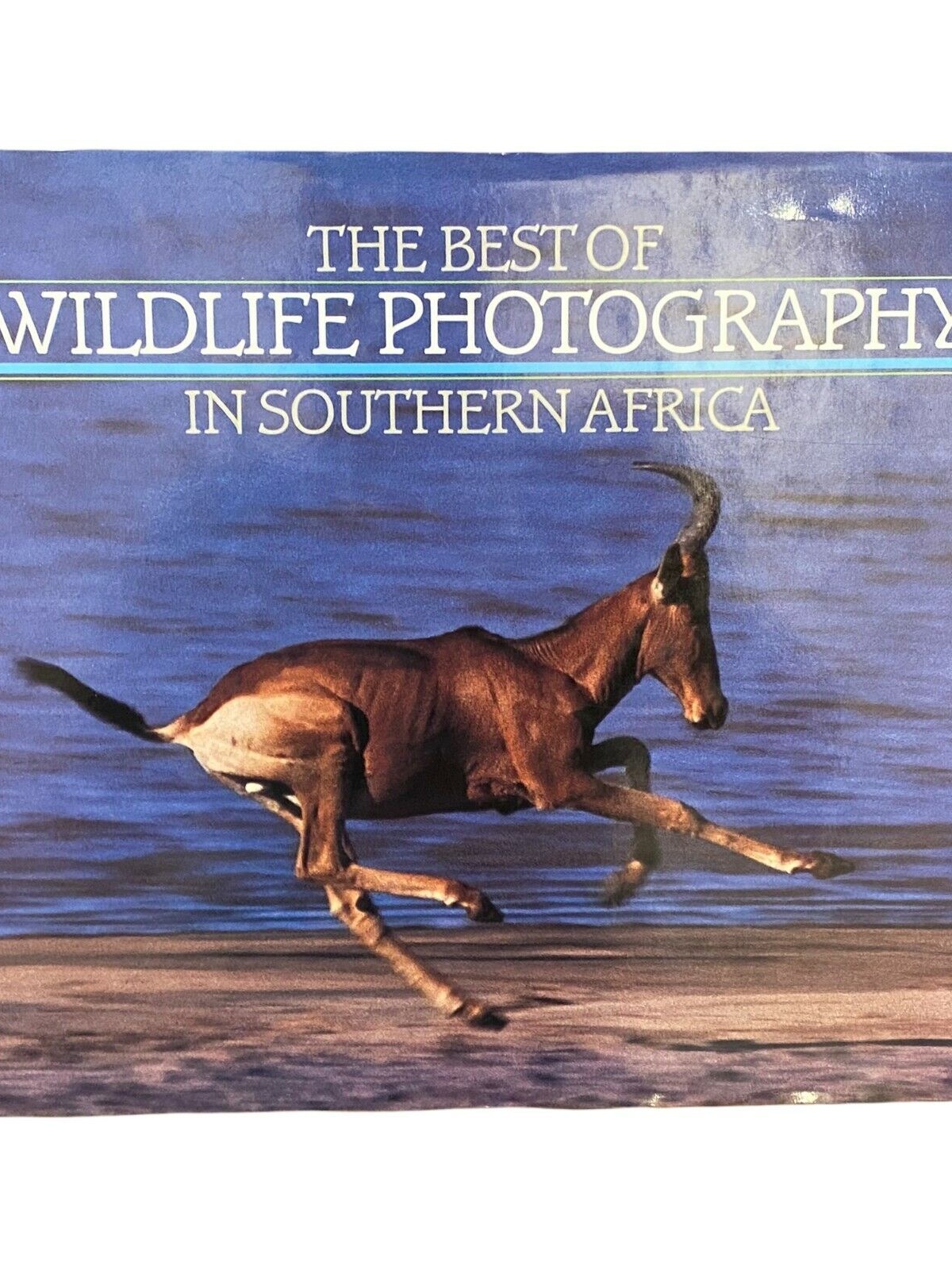 477 Peter Joyce THE BEST OF WILDLIFE PHOTOGRAPHY IN SOUTHERN AFRICA HC