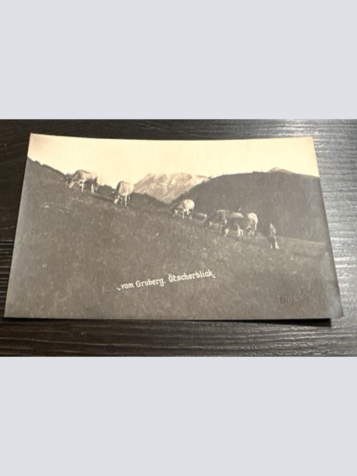 Gruberg Ötscher Kühe Arbesbach Zwettl 6345893 J