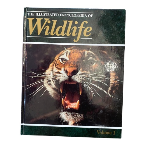 586 John Woodward THE ILLUSTRATED ENCYCLOPEDIA - WILDLIFE HC
