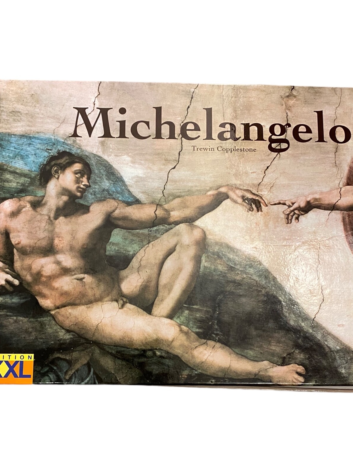 1150 Trewin Copplestone MICHELANGELO HC Kunstgeschichte Kultur