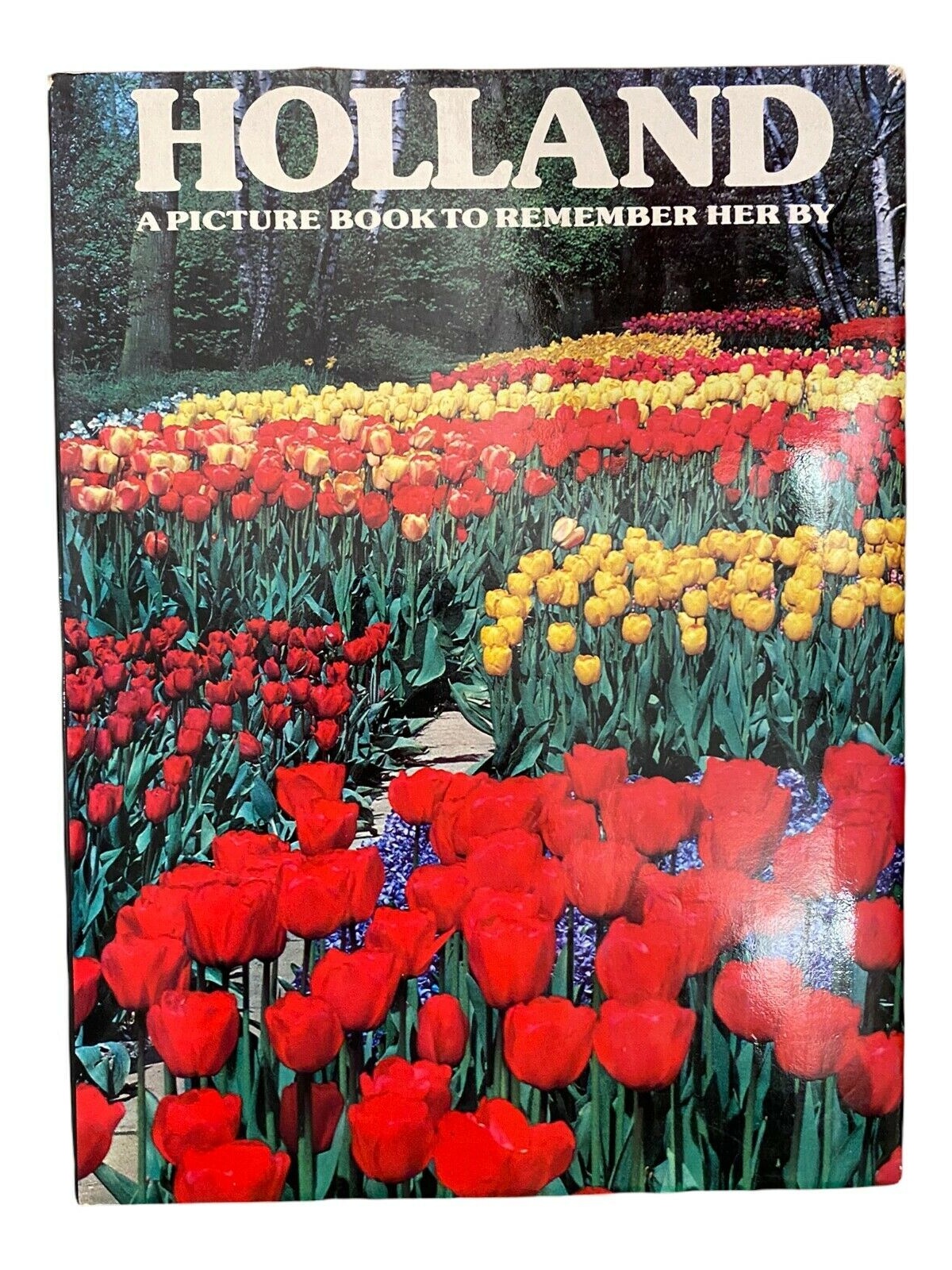 1165 David Gibbon HOLLAND - A PICTURE BOOK TO REMEMBER HER BY HC