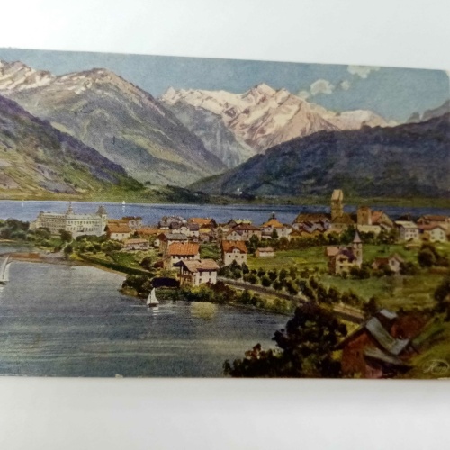 Alpenansicht Flussufer Zell am See 80063