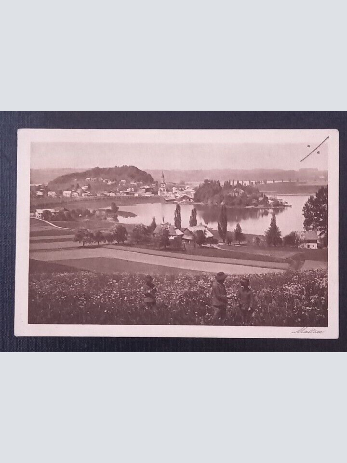 Salzburg Mattsee 600797A gr