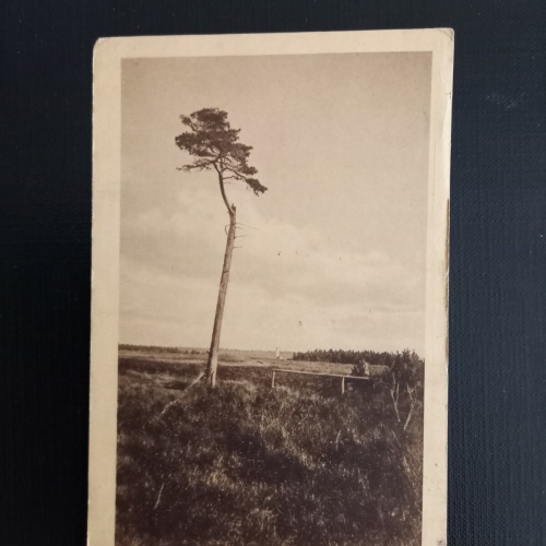 Lockstedt 400506 gr A