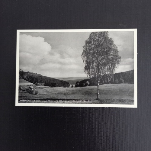 Vielbrunn im Odenwald 400526 gr A