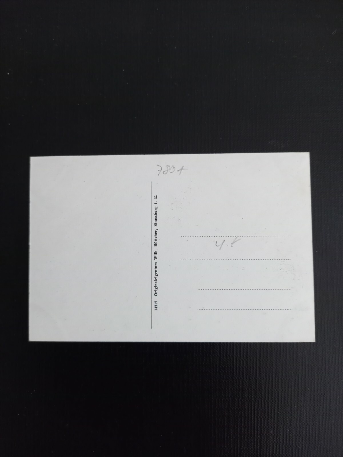 Langackern Kühe Kuh Rind 400523 gr A