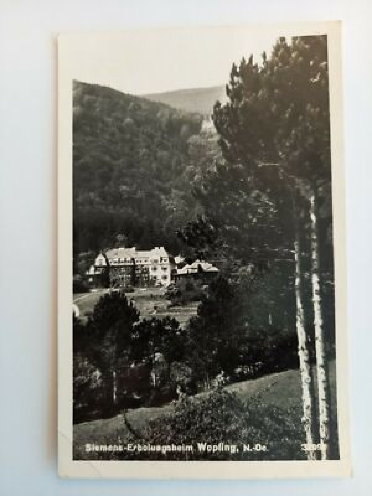 Niederösterreich,  Wopfing 540 ShNö