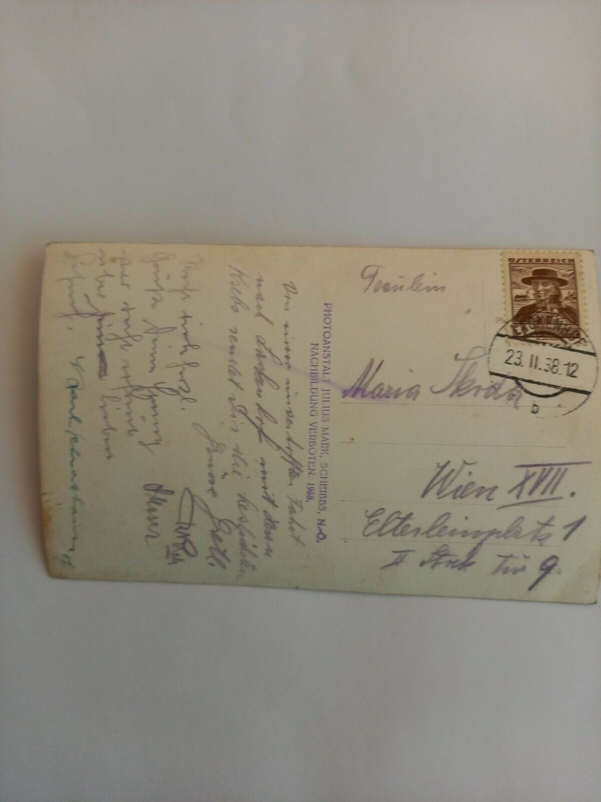 Niederösterreich,  Lackenhof a.Ötscher Skifahren Ski Skifahrer 541