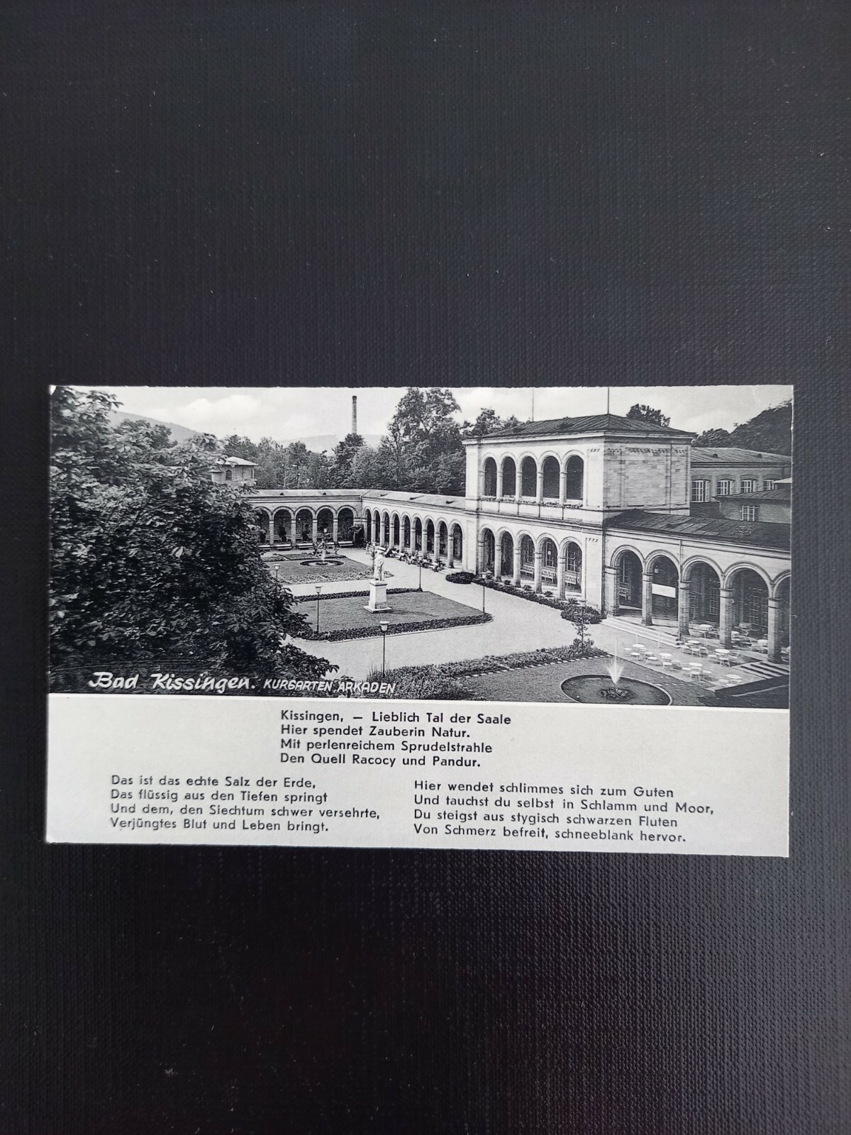 Bad Kissingen, Kurgarten. 110118 gr
