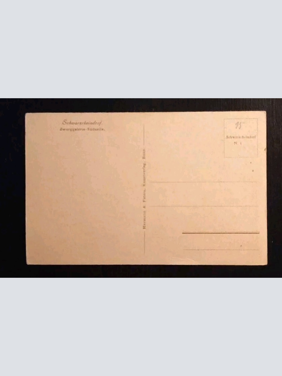 Schwarzrheindorf 165663 gr I