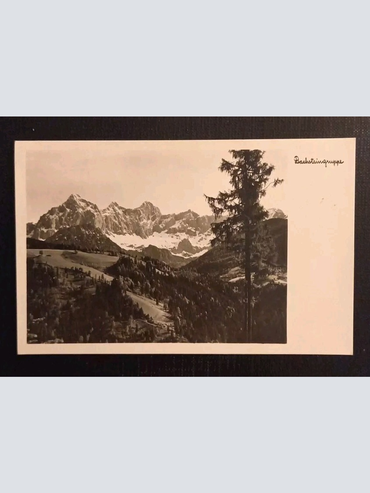 Dachsteingruppe 30828 gr I