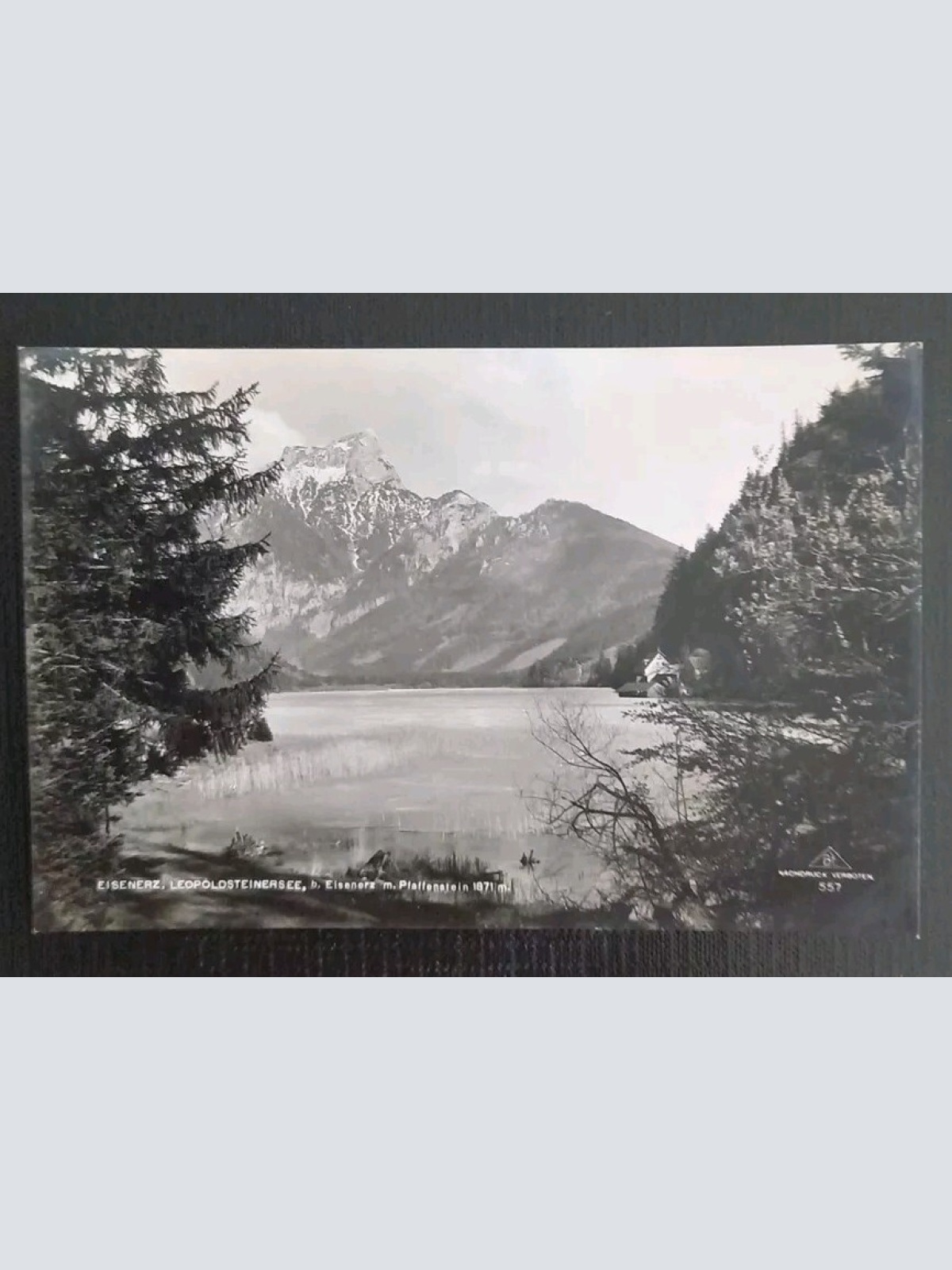 Leopoldsteinersee Eisenerz 40006 gr I