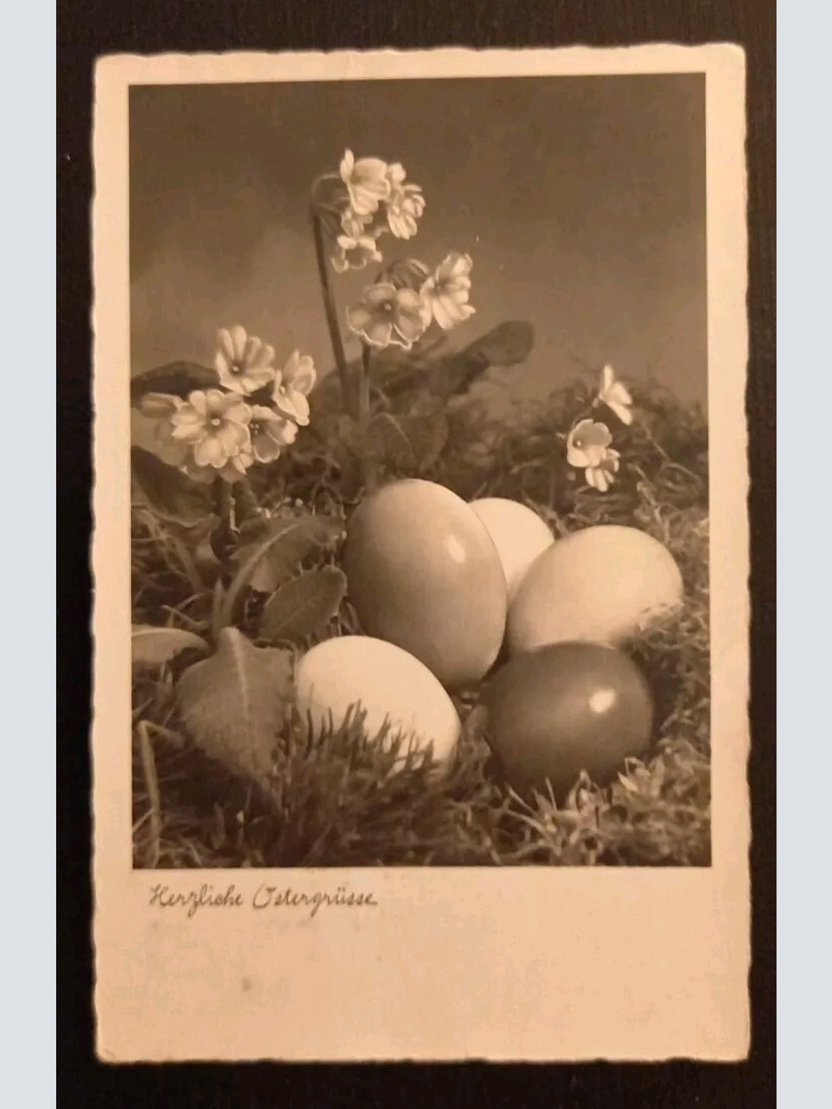 Ostergrüße Ostereier Mit Schlüsselblumen 3210 gr I