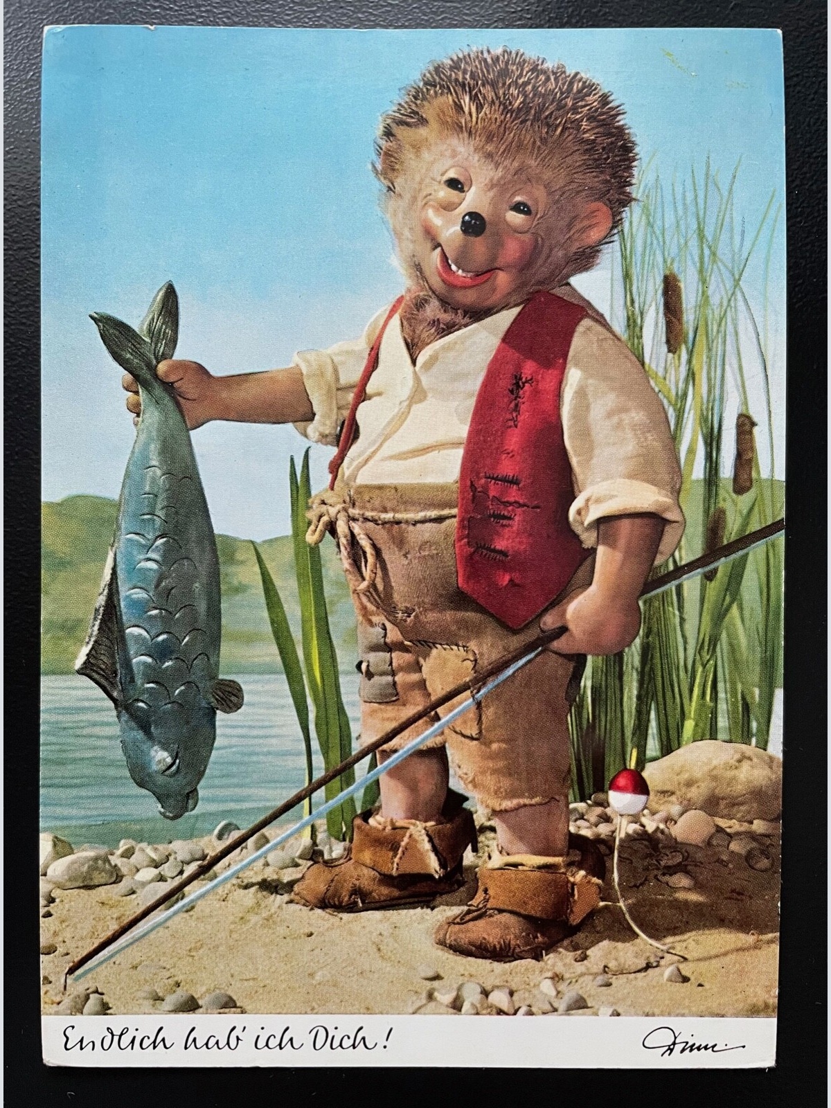 Mecki Igel Endlich hab ich Dich Angler Rute Fisch Puppe Hörzu Diehl 400601 TH