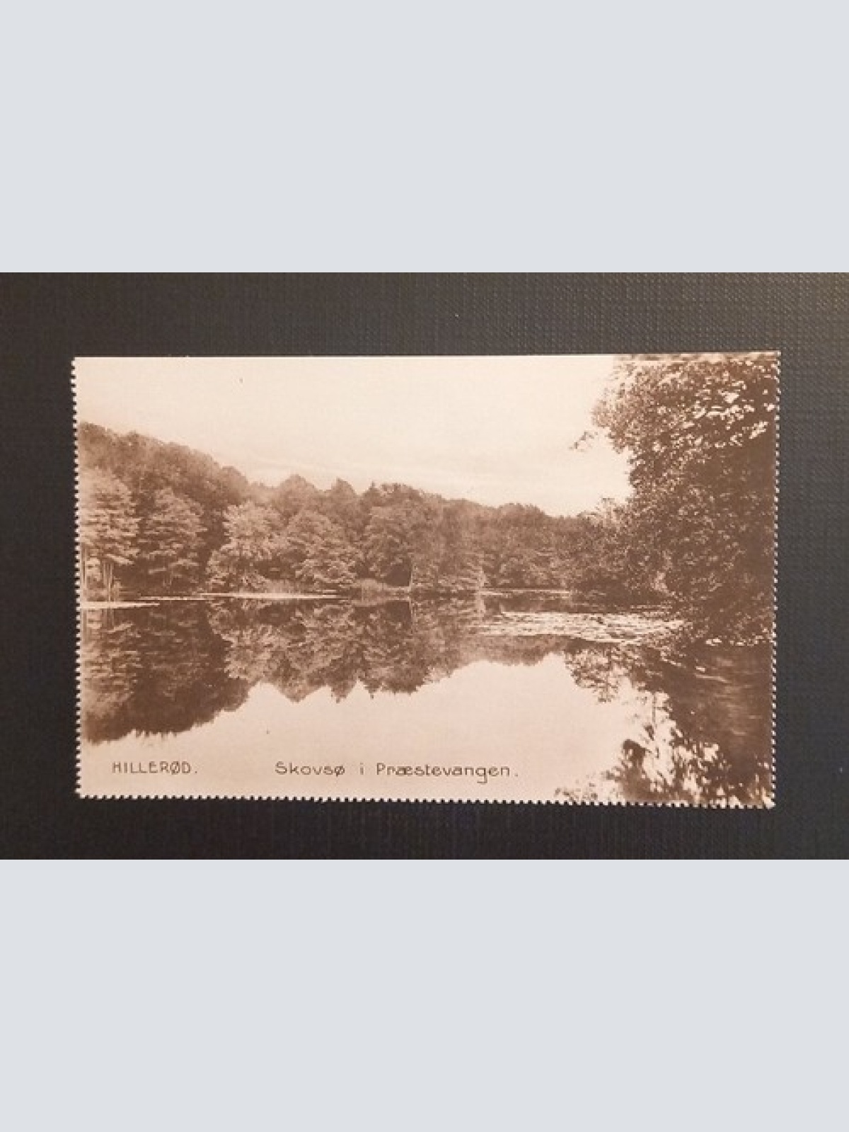 Hillerod Skovso I Praestevangen 118025 Ga E