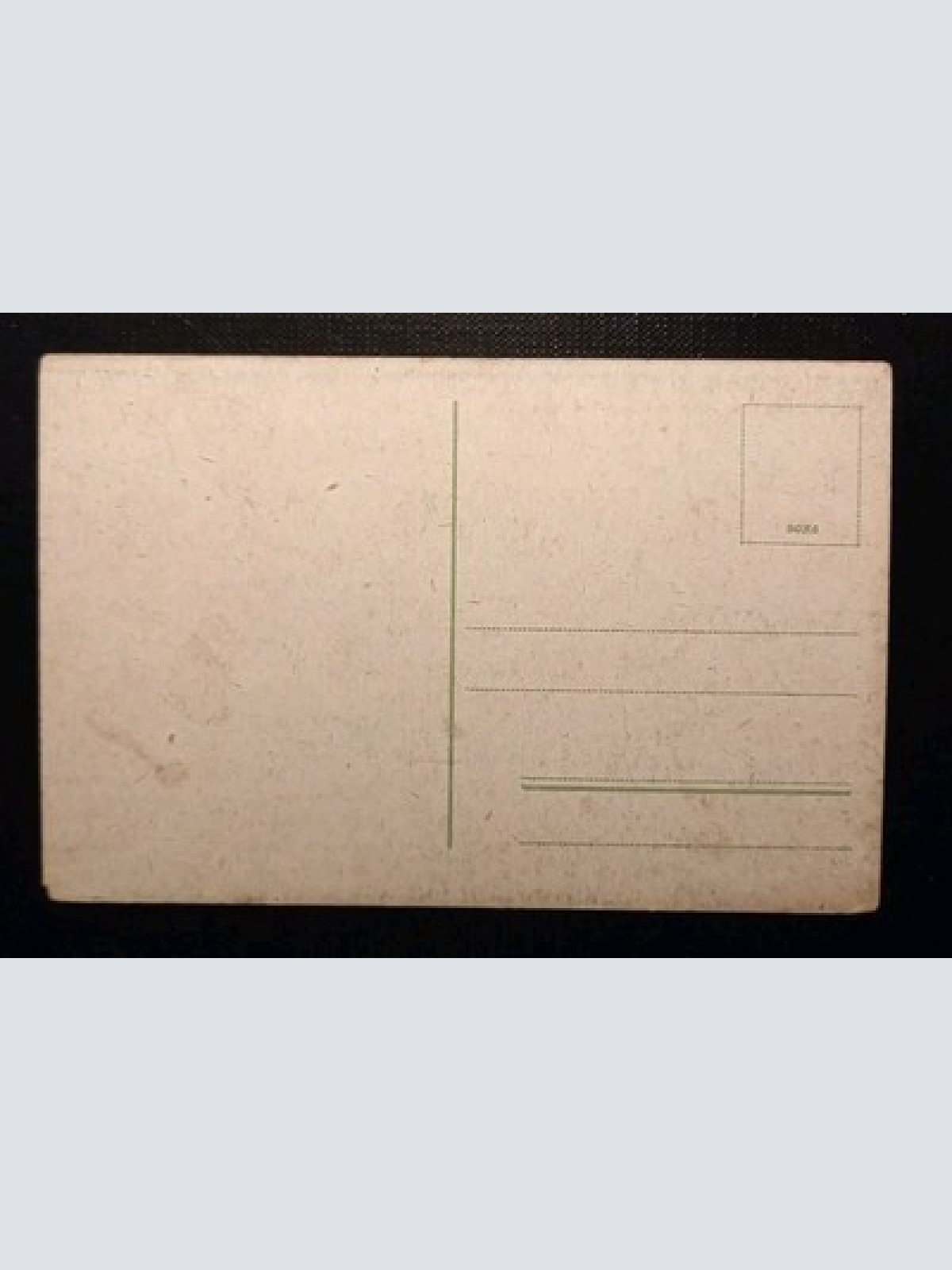 Wiesbaden Schloß 975 Gr