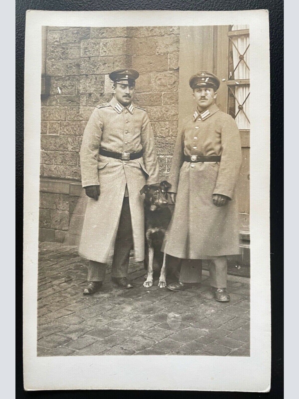 Porträt Soldaten Uniform Schirmmütze Mantel Schäferhund Militär Krieg 400574 TH