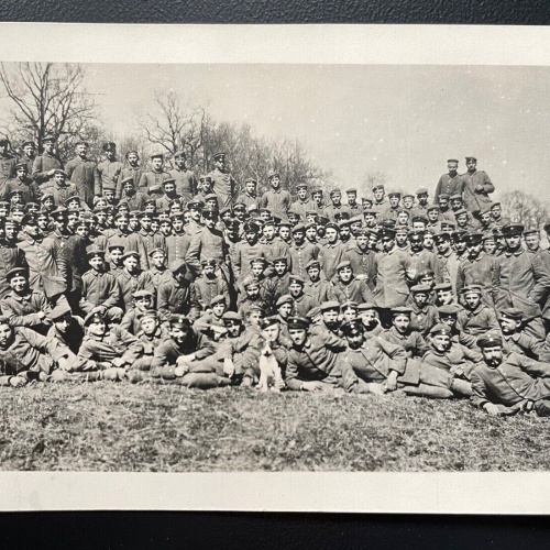 Gruppenaufnahme Soldaten Uniform Schirmmütze Hund Feld Militär Krieg 400598 TH