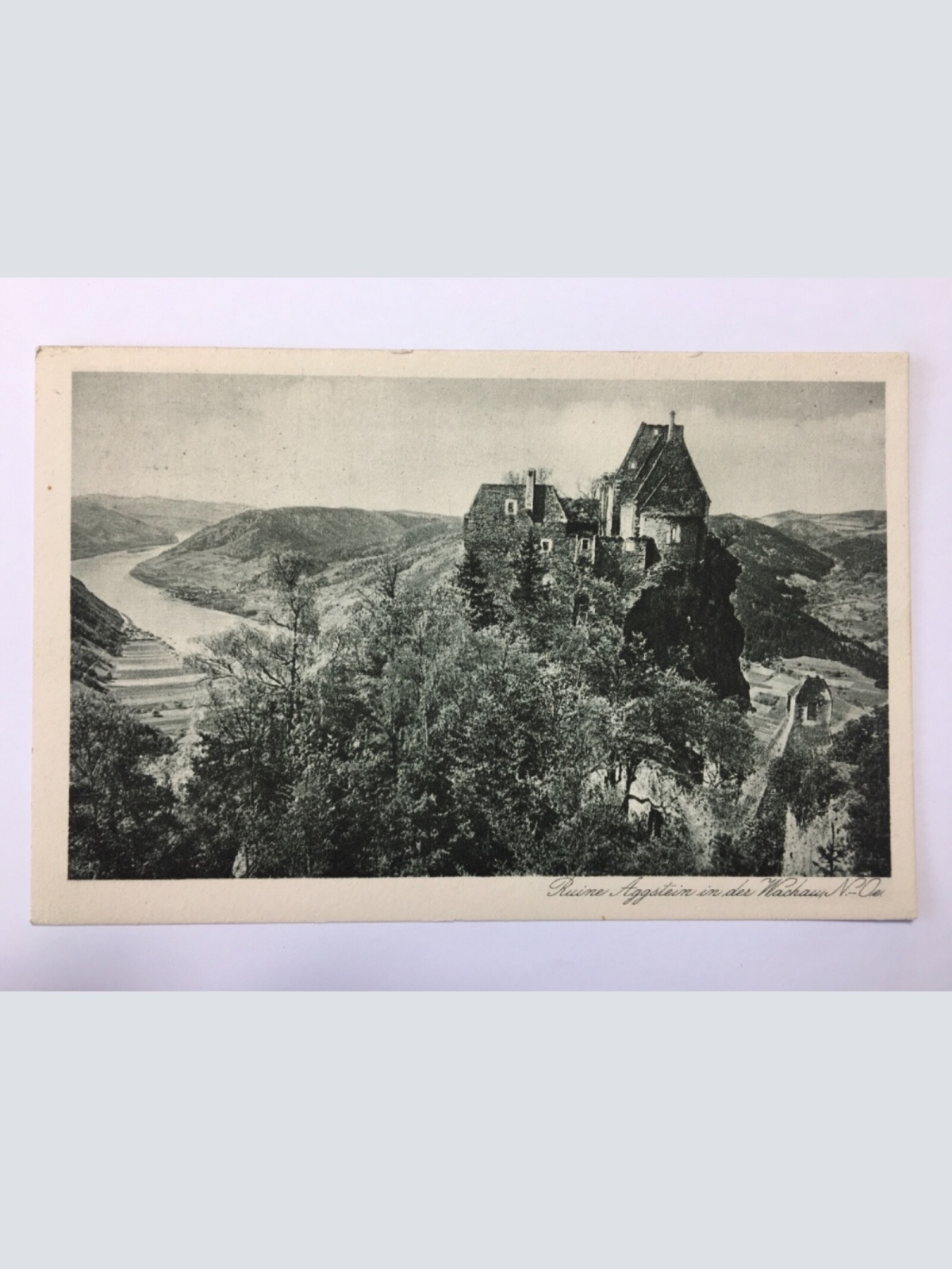 Burgruine Aggstein in der Wachau 620 ShNö