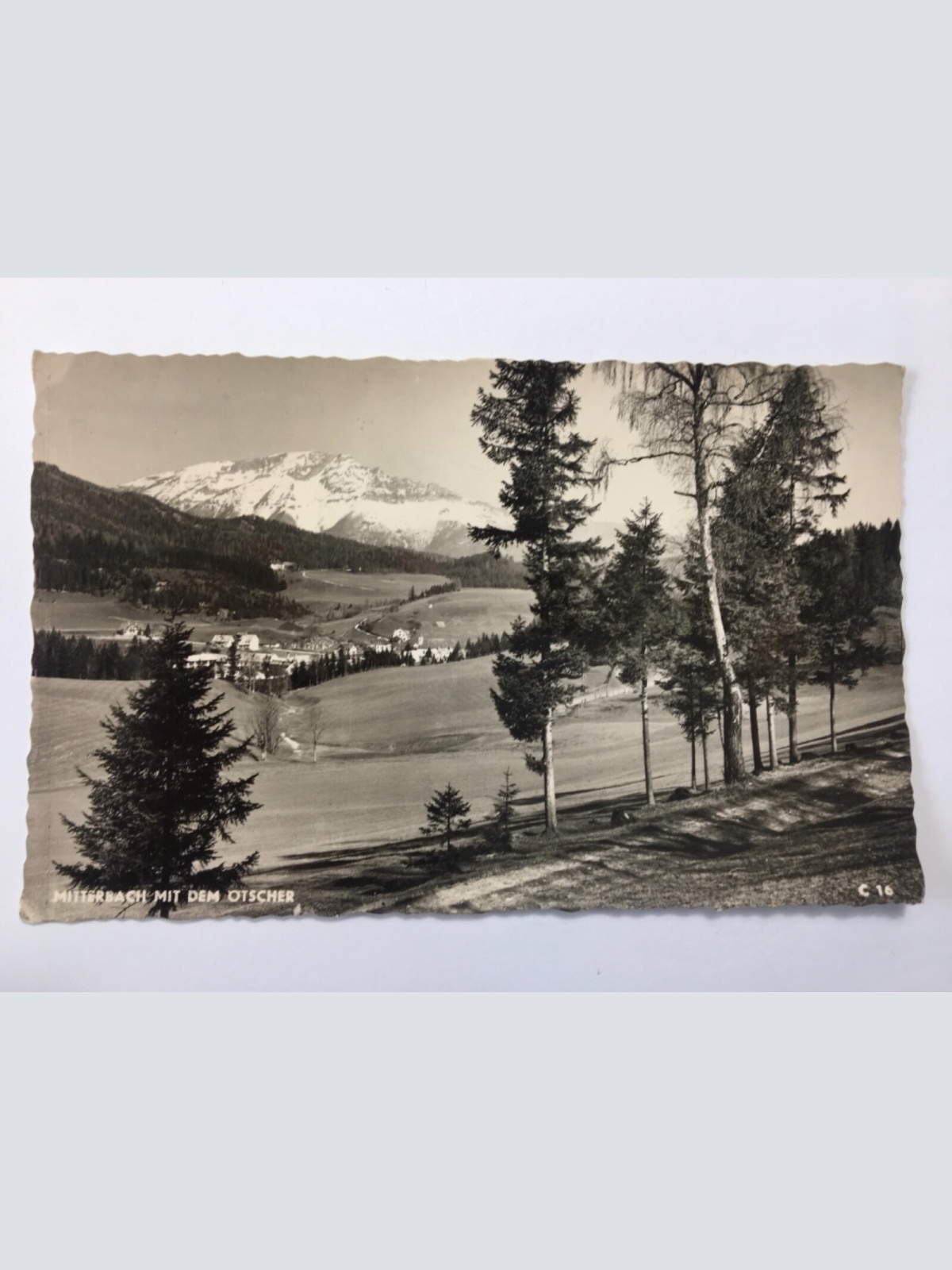Mitterbach mit dem Ötscher 537