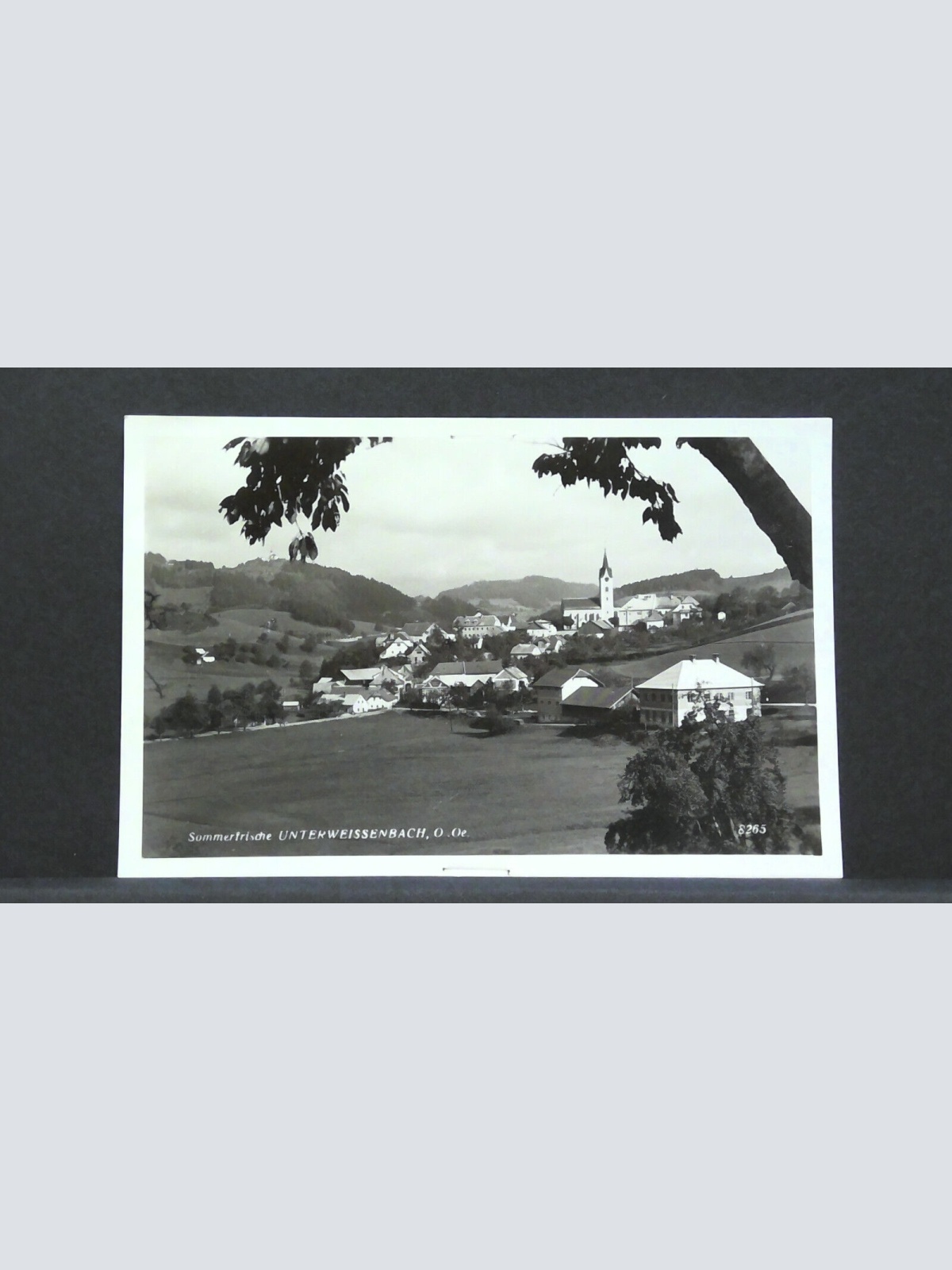 Sommerfrische Unterweißenbach Oberösterreich JW 500165 F