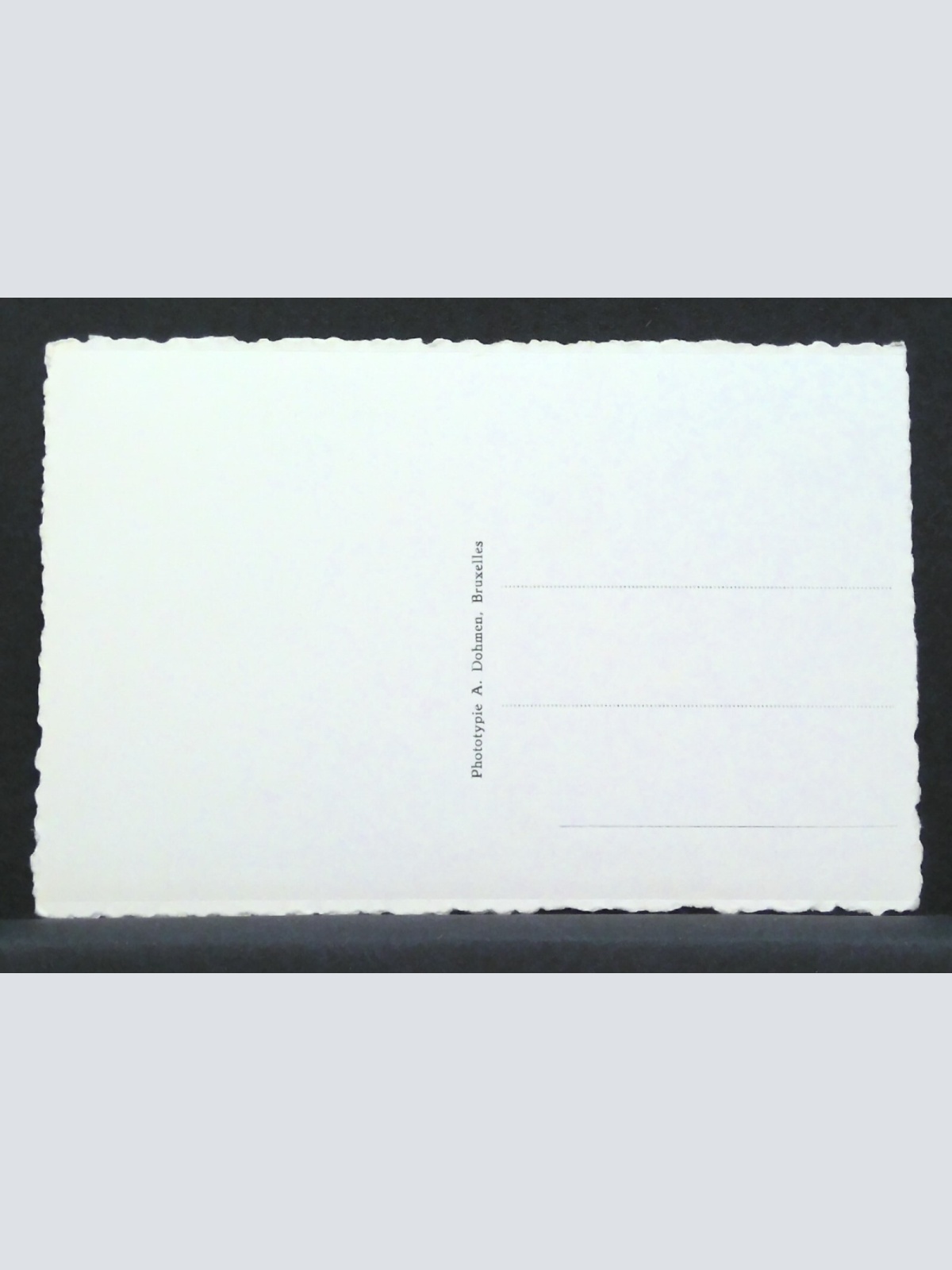 Notre Dame de Beauraing Gemälde Jungfrau Maria Erscheinung Kinder JW 500276 F