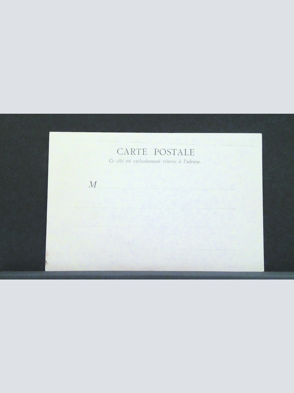 Blidah Oliviers et Koubba dans le bois sacre JW 1974 F