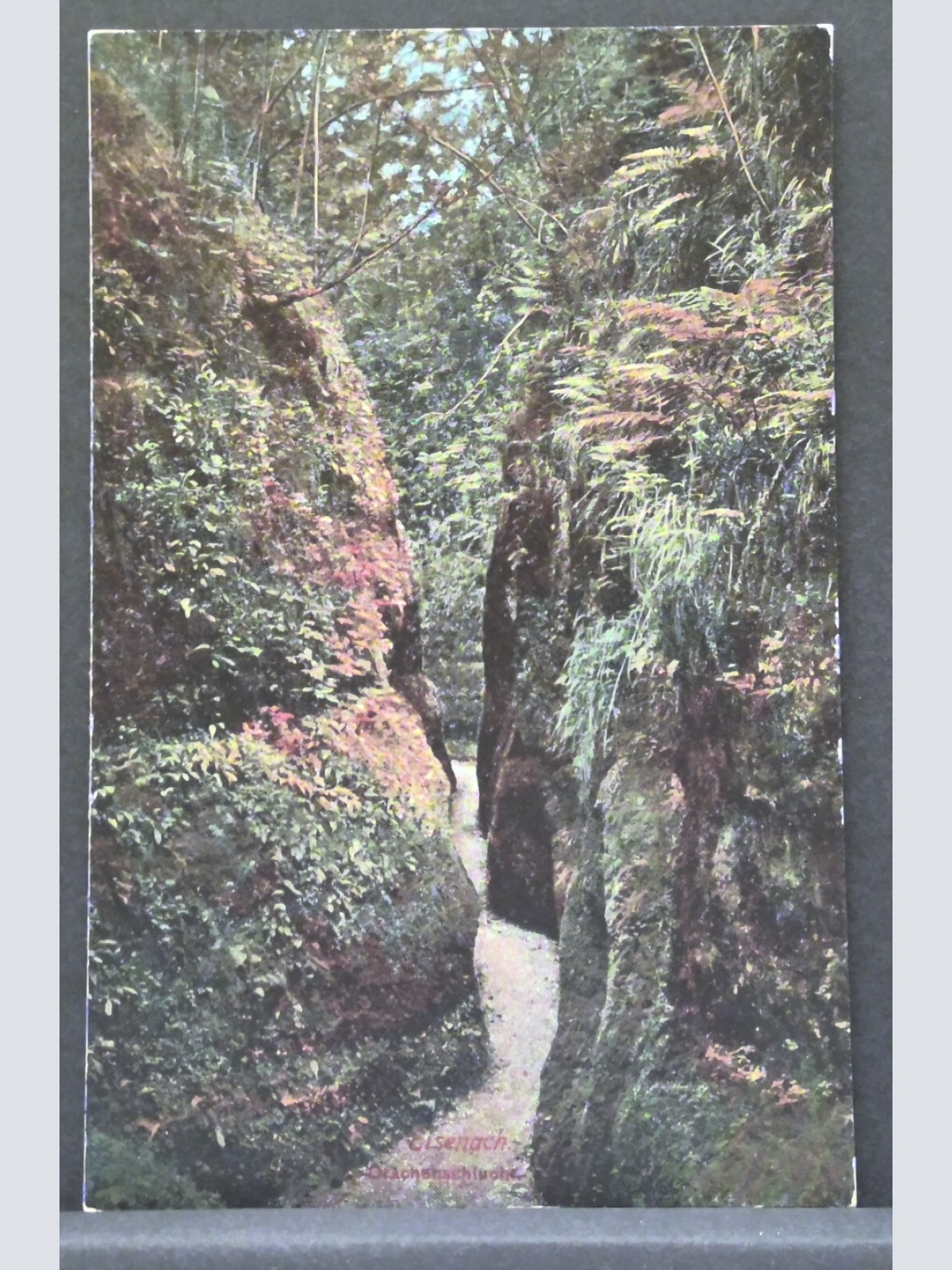 Eisenach Drachenschlucht JW 401203 F