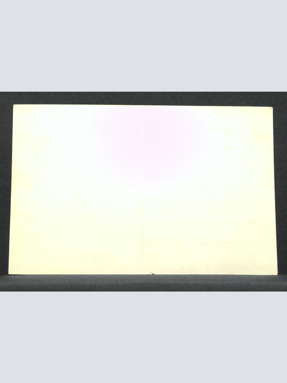 Gasthof Hubertus bei Pfaffenhofen gegen Ruine Hörtenberg JW 500170 F