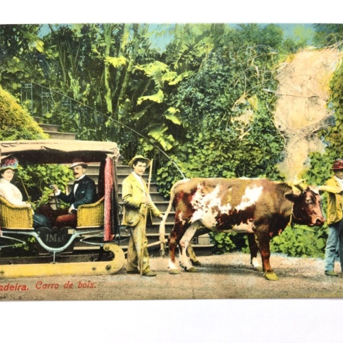 Madeira - Carro de bois - Ochsenkarren 40255 TH