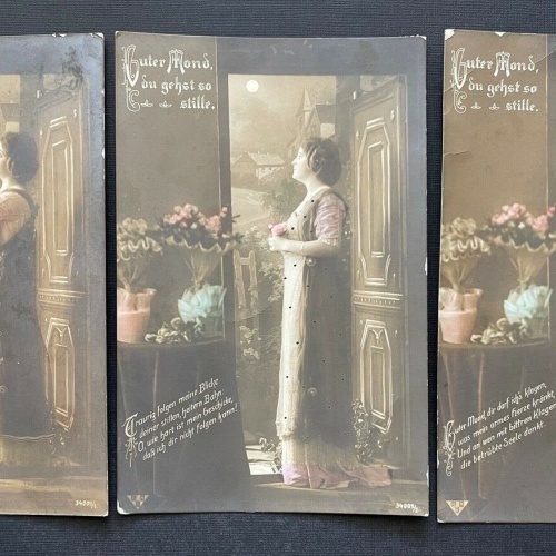 3er Set Guter Mond Gedicht Frau Kleid Nacht Mondschein Blumenstrauß 410785 TH