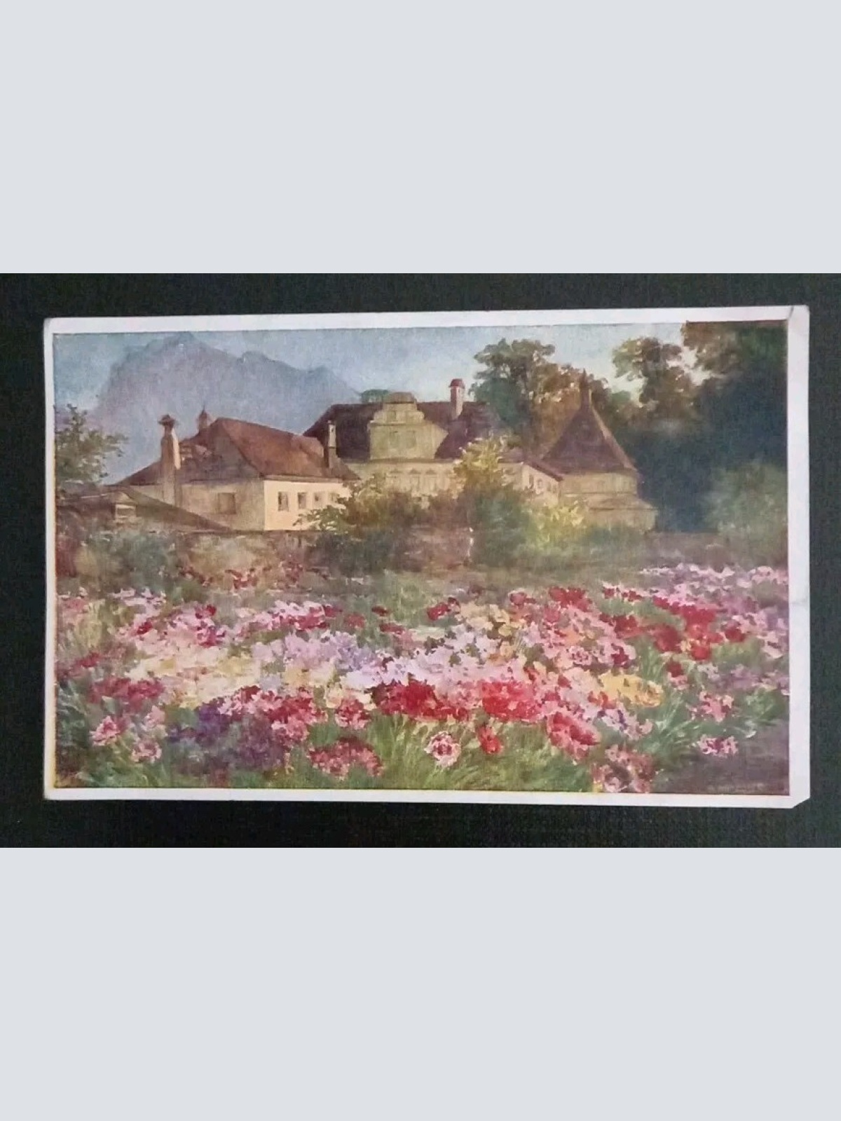 Künstlerkarte Das Nelkenfeld 600601A Gr