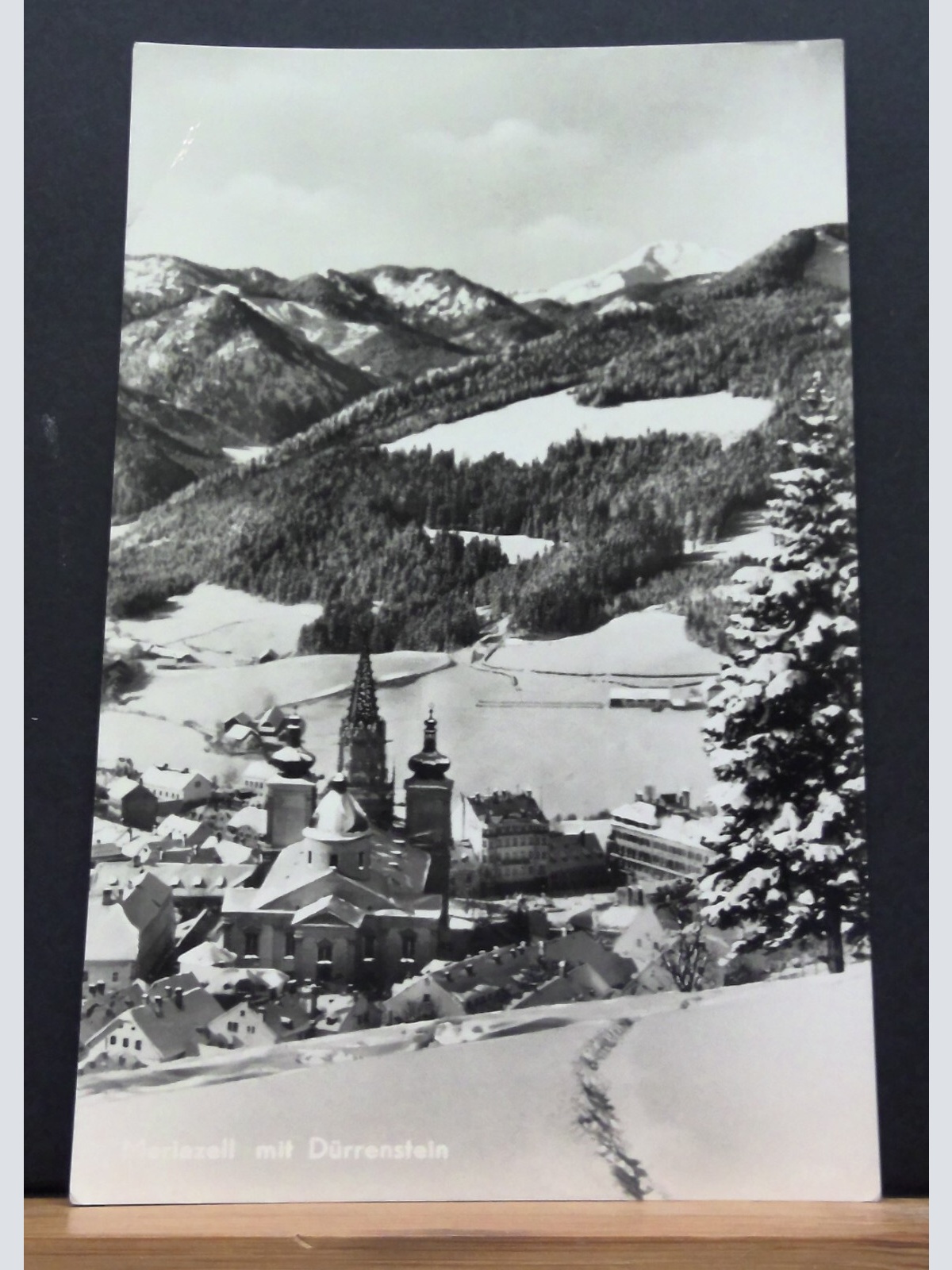 Mariazell mit Dürrenstein JW 650454 C