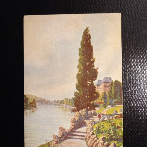 Torino Castello del Valentino 400564 gr