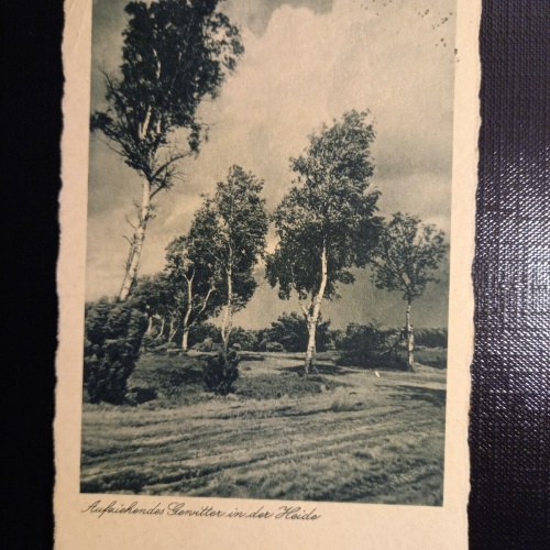 Aufziehendes Gewitter in der Heide 400582 gr A