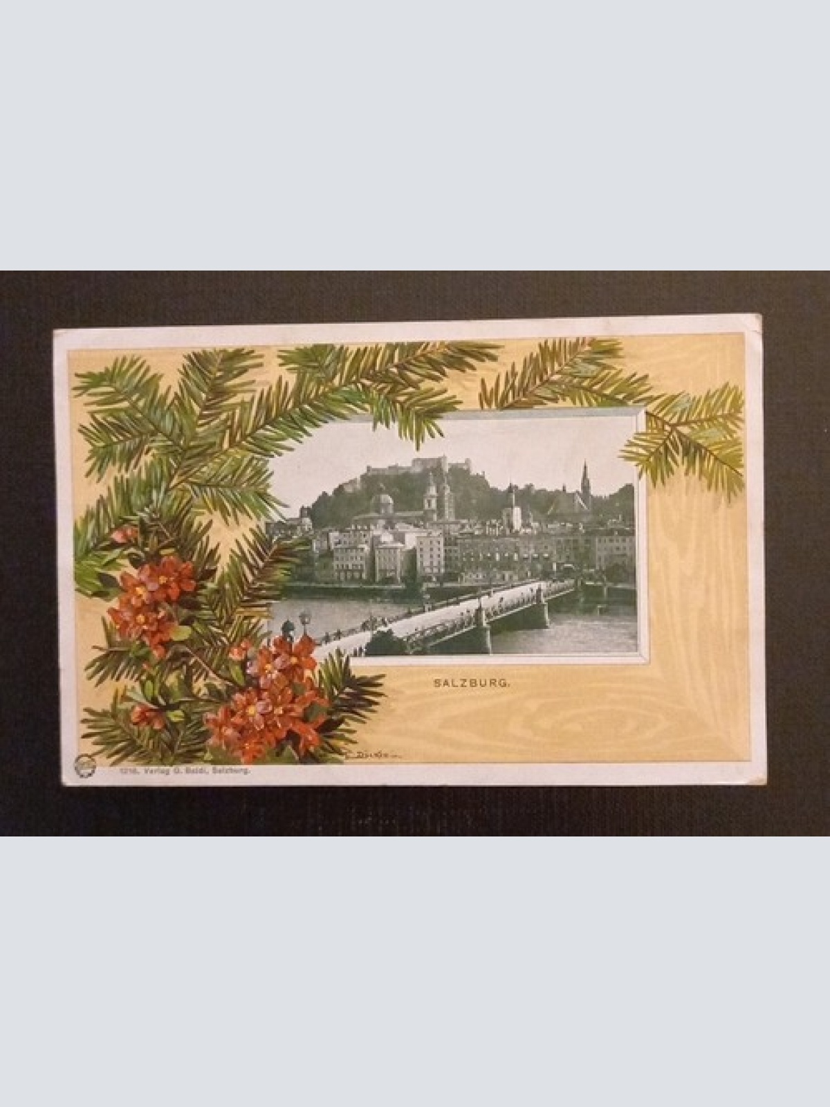 Salzburg Festung Tannenzweig 165790 H