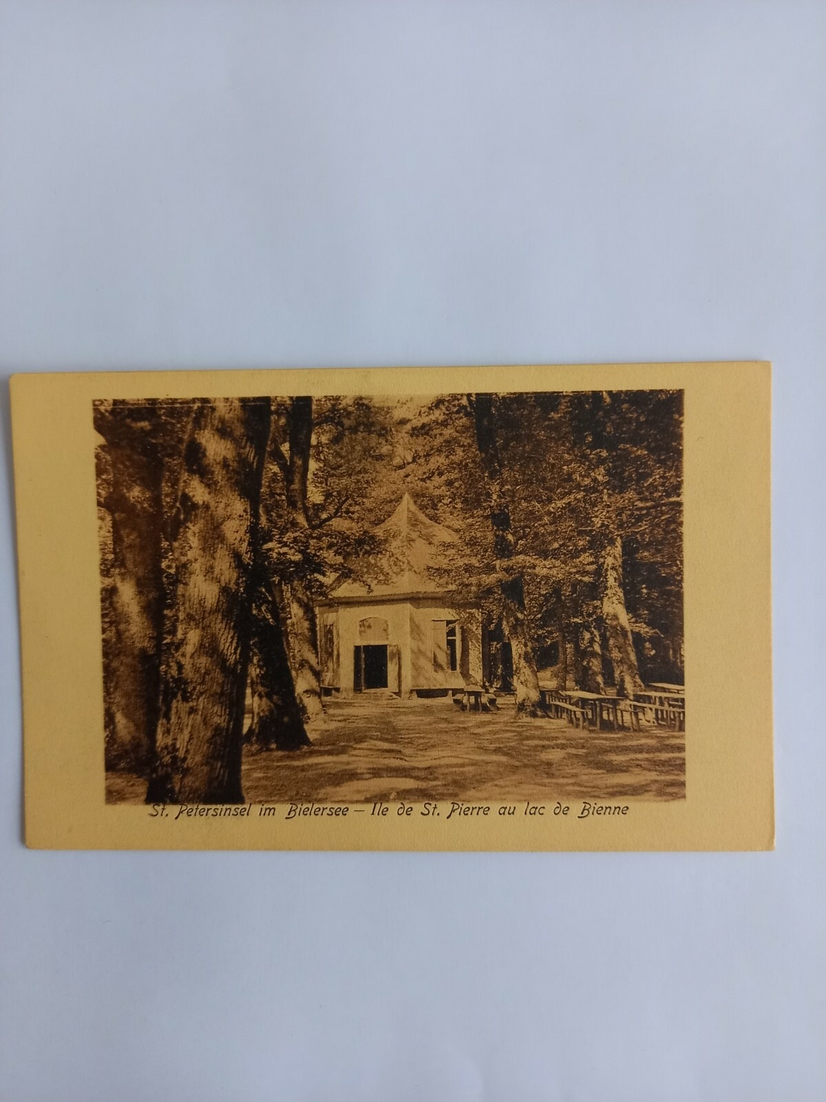 Schweiz St.Petersinsel im Bielersee 677