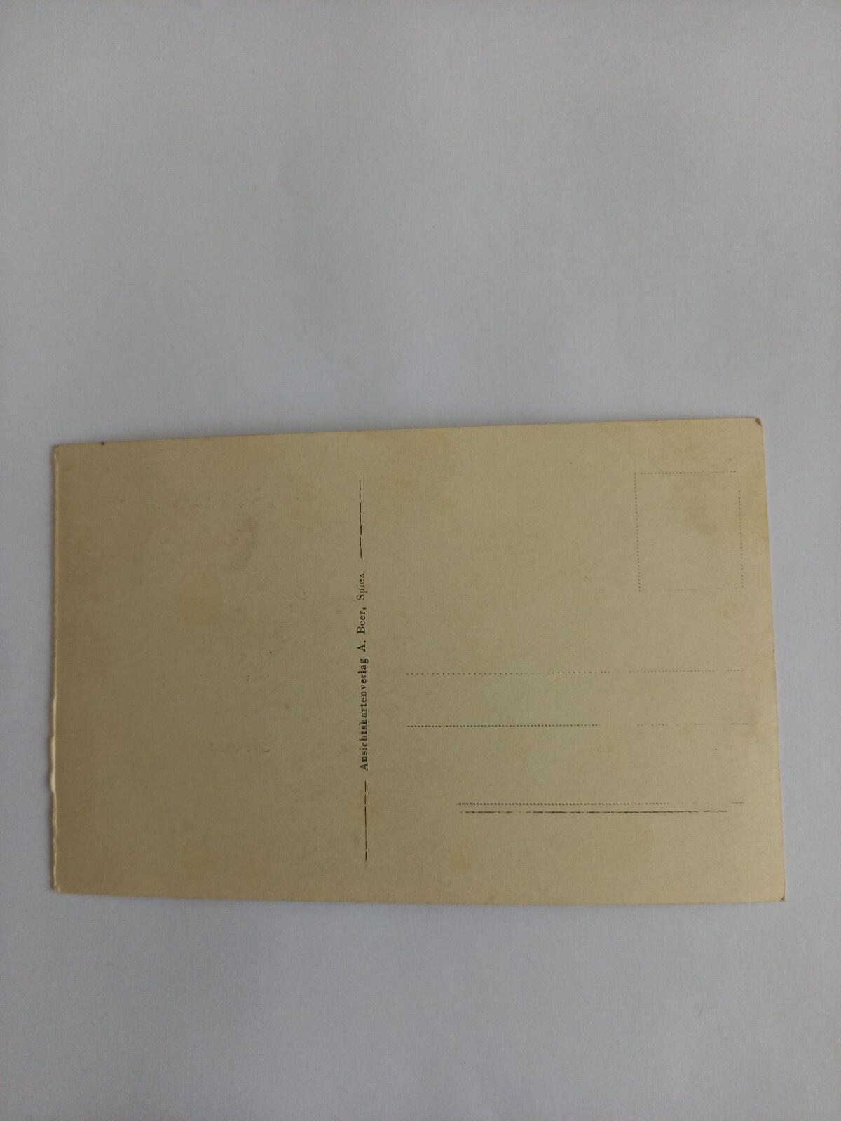 Schweiz Spiez mit Alpenpanorama 683