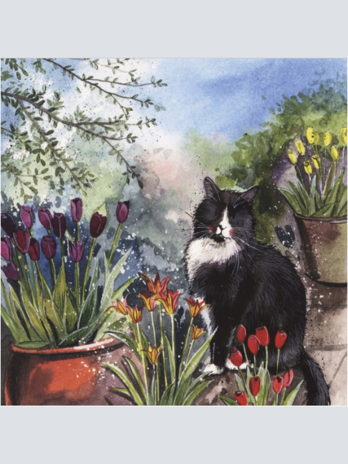 Alex Clark Karte Katze und Tulpen 140x140 mm incl. Umschlag  0033