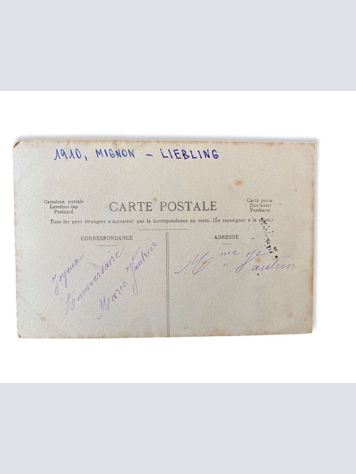 Junge Dame Frau  Musikinstrument Künstlerkarte  11021