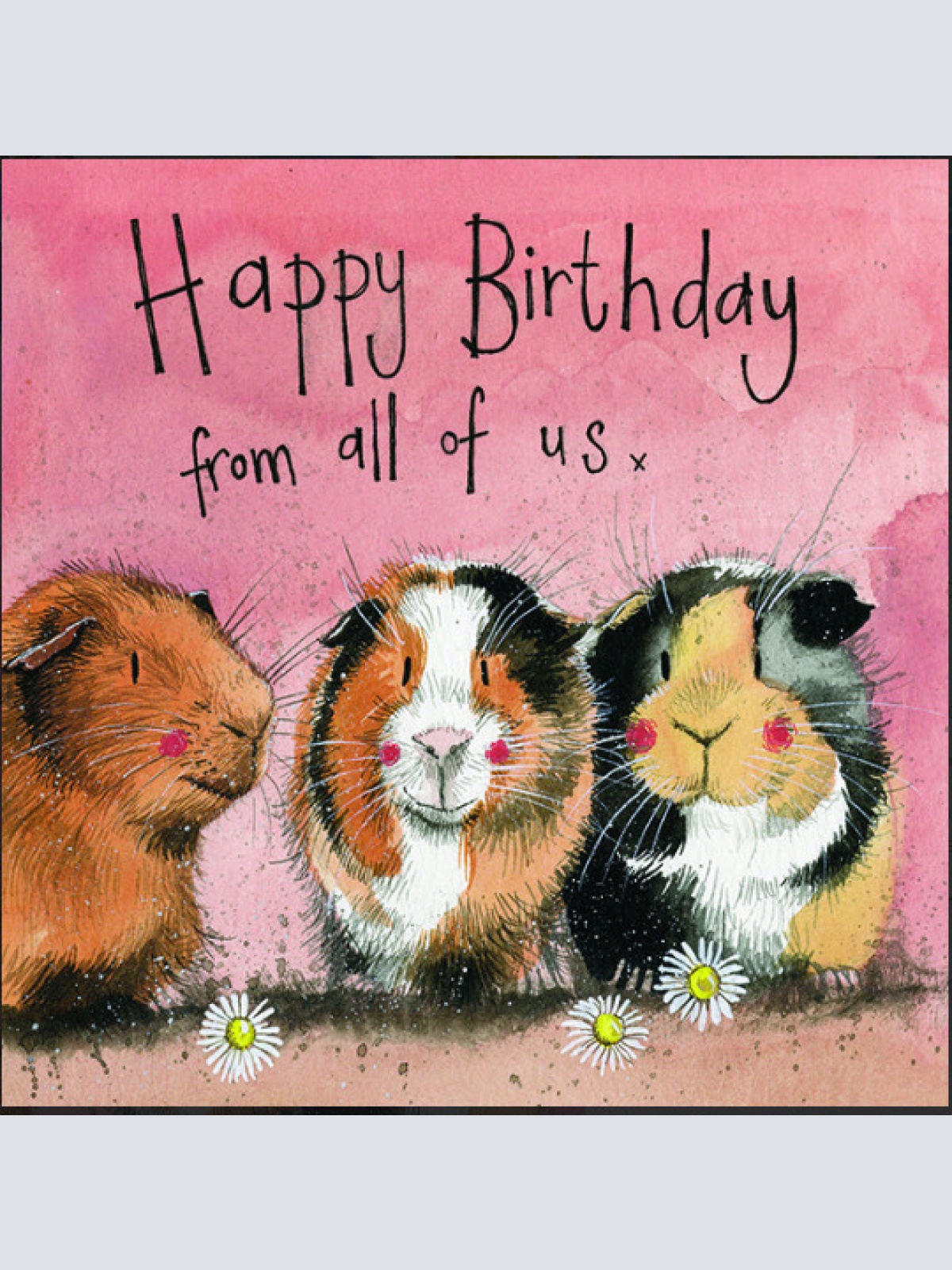 Alex Clark Mehrschweinchen The three Guineas  140x140 mm incl. Umschlag   0045