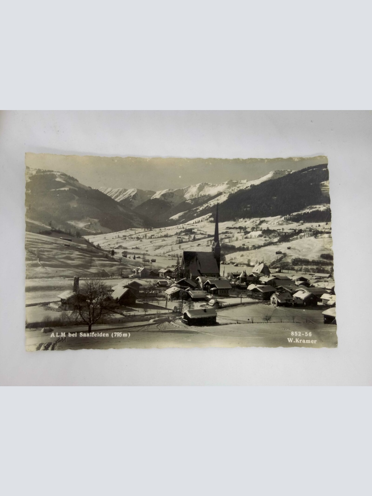 Salzburg Alm bei Saalfelden auf 795m 60030