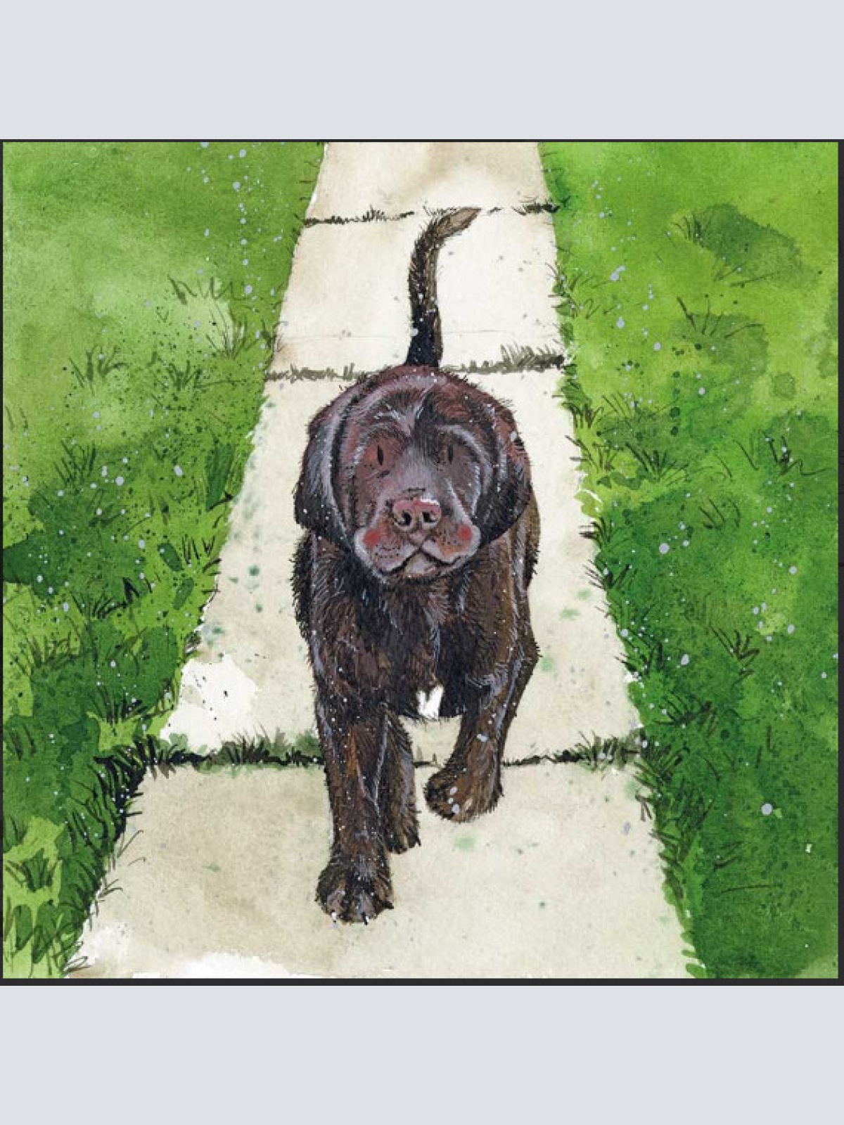 Alex Clark Karte Hund Walking Home 140x140 mm incl. Umschlag 0046