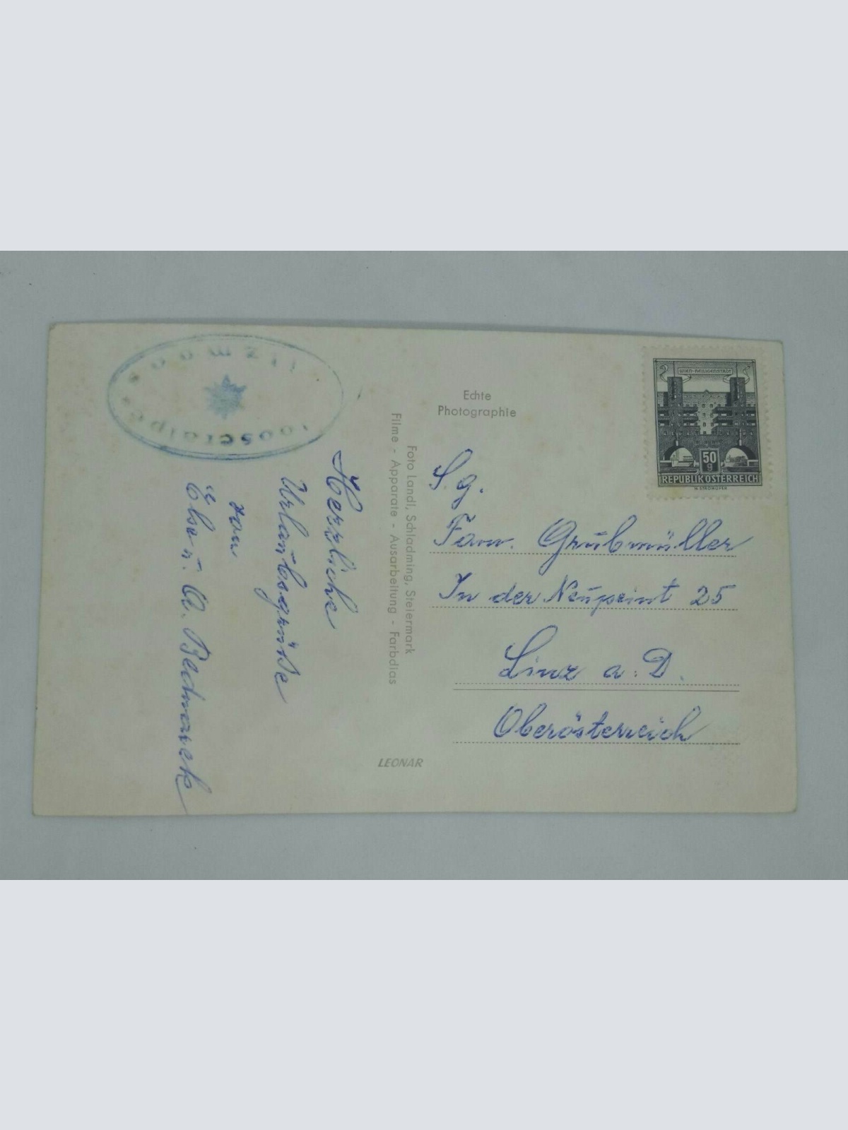 Salzburg Filzmoos Moosalm auf 1330m 60027